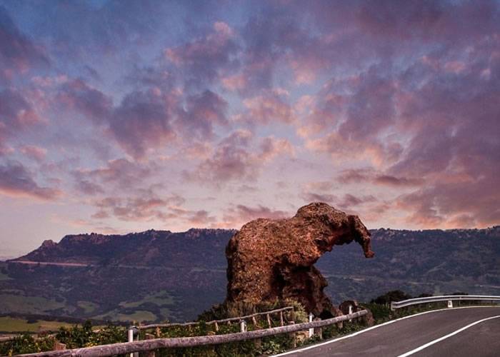 意大利撒丁岛小镇路边巨型“大象”怪石