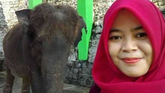印尼女兽医想和大象自拍 被撞飞3公尺命丧象脚