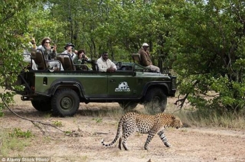 6岁男孩在南非禁猎区玩耍被猎豹叼走 “豹小子”死里逃生