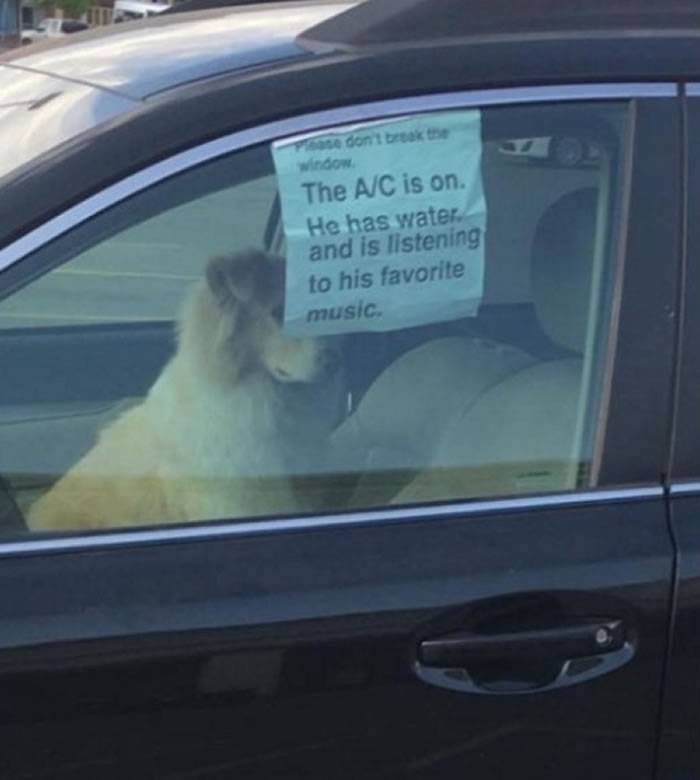 独留狗狗在车内 主人贴告示吁路人别打破车窗