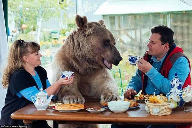 俄罗斯夫妻23年前从猎人手中收养“熊孩子” 一家三口超幸福
