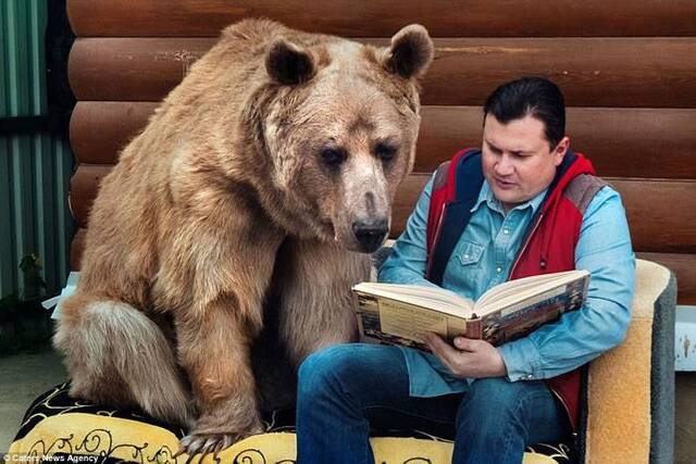 俄罗斯夫妻23年前从猎人手中收养“熊孩子” 一家三口超幸福
