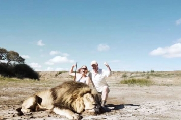 情侣在南非与猎杀狮子合照 背后另一只狮子冲过来
