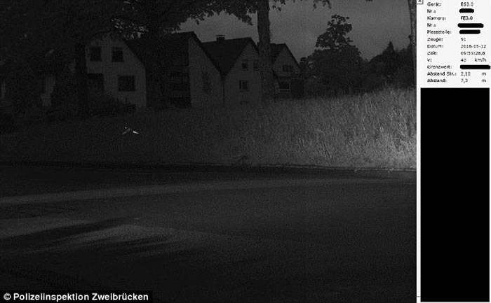 德国警方捕捉超速驾驶的镜头拍到奇怪画面：原来“超速”的是一只鹦鹉