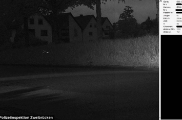 德国警方捕捉超速驾驶的镜头拍到奇怪画面：原来“超速”的是一只鹦鹉