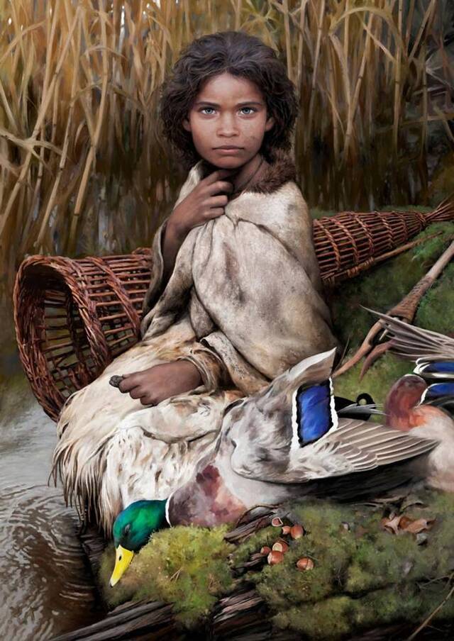 波罗的海5700年前石器时代的桦木沥青“口香糖”上的小女孩DNA诉说着奇妙故事