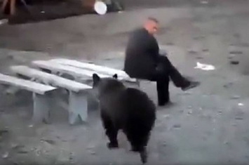 战斗民族：俄罗斯男子霸气回头一瞥就把鬼祟闲晃过来的大黑熊吓得落荒而逃
