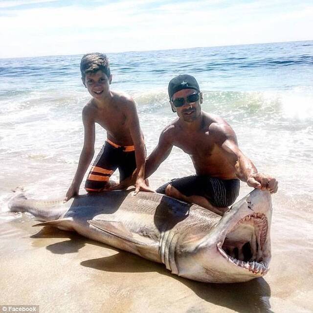 美国新泽西州13岁男孩钓起200磅重鲨鱼