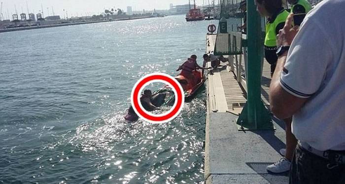 西班牙海岸公园海豚搁浅受伤 泳客水上电单车充救护车送医