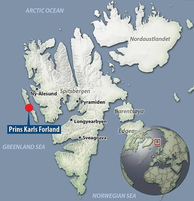挪威卡尔王子岛年幼北极熊疑遭俄罗斯科学家开枪射杀
