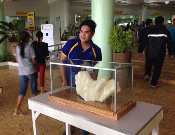 菲律宾渔夫10年前打捞到巨蚌不识宝 世界最大珍珠床下藏10年