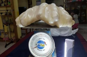 菲律宾渔夫在巴拉望岛捞到34公斤巨无霸珍珠 不知价值放在床底10年