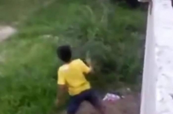 巴西男童爬入邻居后院寻回皮球 遇恶犬险被咬