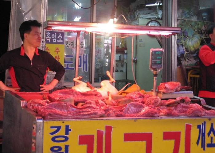 朝鲜领袖金正恩积极宣传吃狗肉：活生生打死才烹煮味道更佳