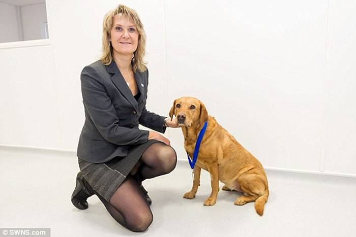 英国狗狗闻出主人癌症 已经检查出550例癌症病例