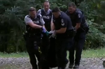 加拿大10岁女童被一只带着幼崽的黑熊攻击
