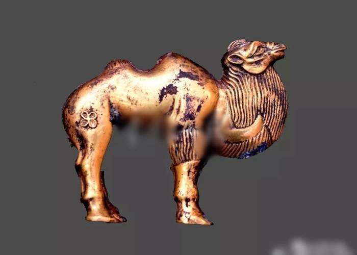 秦始皇帝陵外城西侧陵区发现秦代大型墓葬 出土最早单体金骆驼