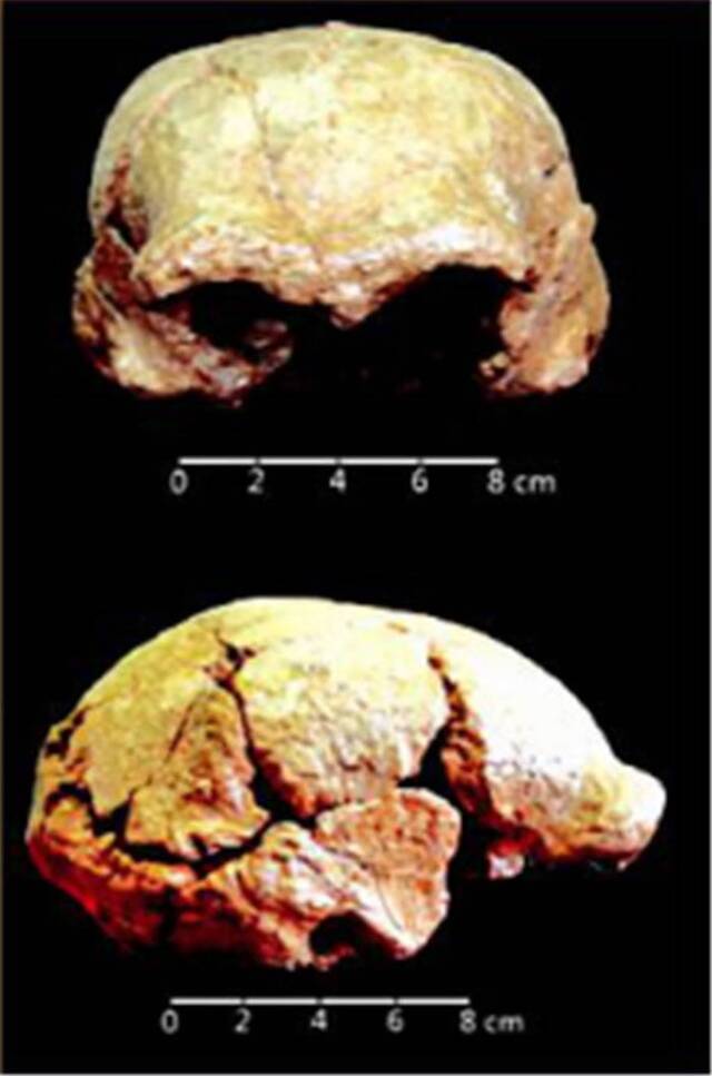 安徽省古人类与旧石器考古取得重要进展 或为石器技术传播与人类扩散迁徙路线重要一环