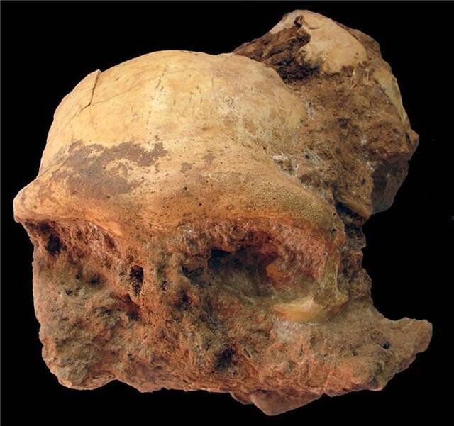 安徽省古人类与旧石器考古取得重要进展 或为石器技术传播与人类扩散迁徙路线重要一环