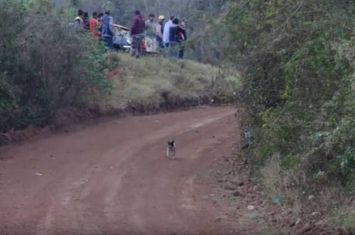 玻利维亚拉力赛小狗闯跑道 赛车弹飞奇迹避开