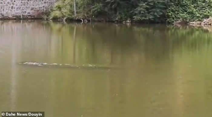 河南省洛阳市一个湖中发现三米长“湖中水怪”？