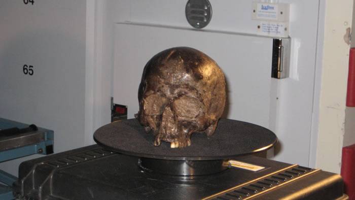 英国约克郡2600年前被杀古人颅骨内发现保存完好的神秘脑组织