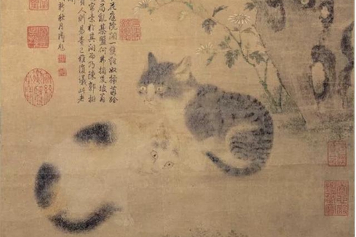 狸奴指的是什么?中国人是从什么时候开始喜欢养猫的?