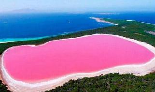 希勒湖为什么是粉色的，盘点世界各地的粉红湖泊！