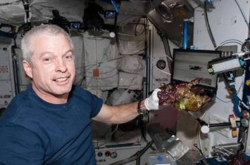 国际空间站上种植的“太空生菜”营养价值与地球上生长的类似植物不相上下