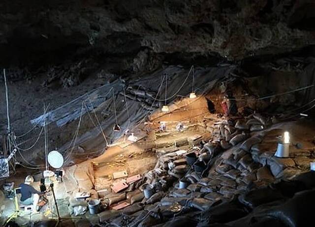 南非洞穴发现的烧剩骨头和植物根茎证实17万年前古人类已懂得均衡饮食