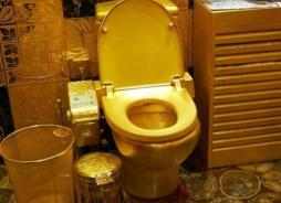 世界上最豪华的厕所，中国香港黄金厕所(用380公斤黄金打造)