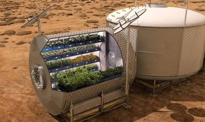 NASA推出“种生菜计划” 为执行长程任务的宇航员提供新鲜食物