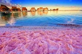 世界十大粉色沙滩，最美沙滩非你莫属（美到窒息）