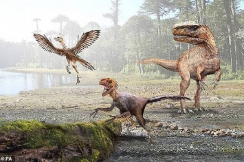 恐龙体型“缩水”为温血哺乳动物出现铺平道路