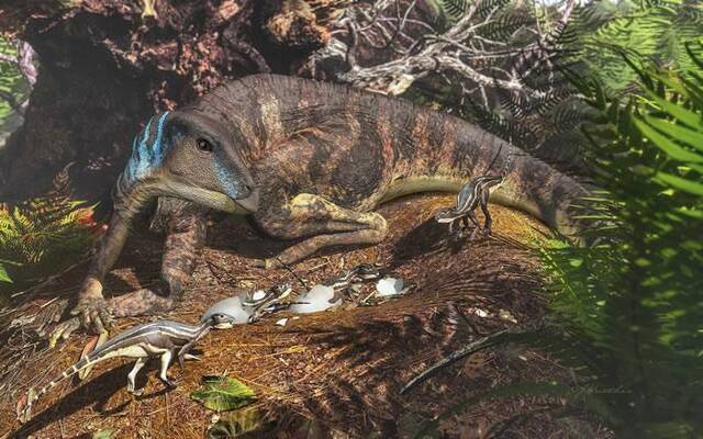 古生物学家首次在澳大利亚境内发现婴儿恐龙骨骼化石 距今1亿年前体重仅198克