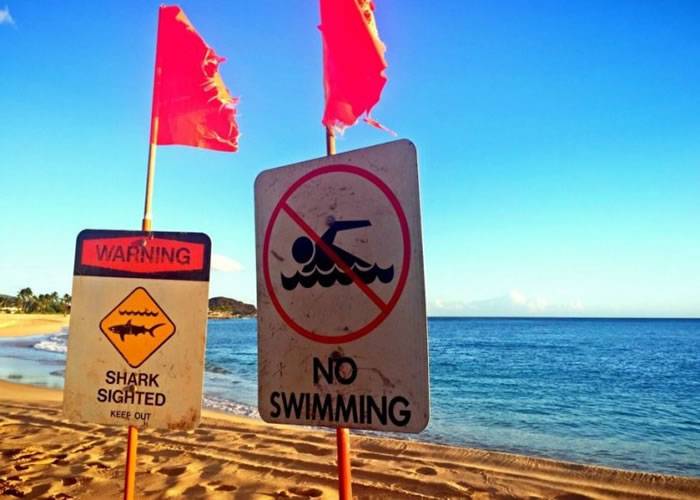 美国夏威夷51岁女子海滩遭鲨鱼袭击