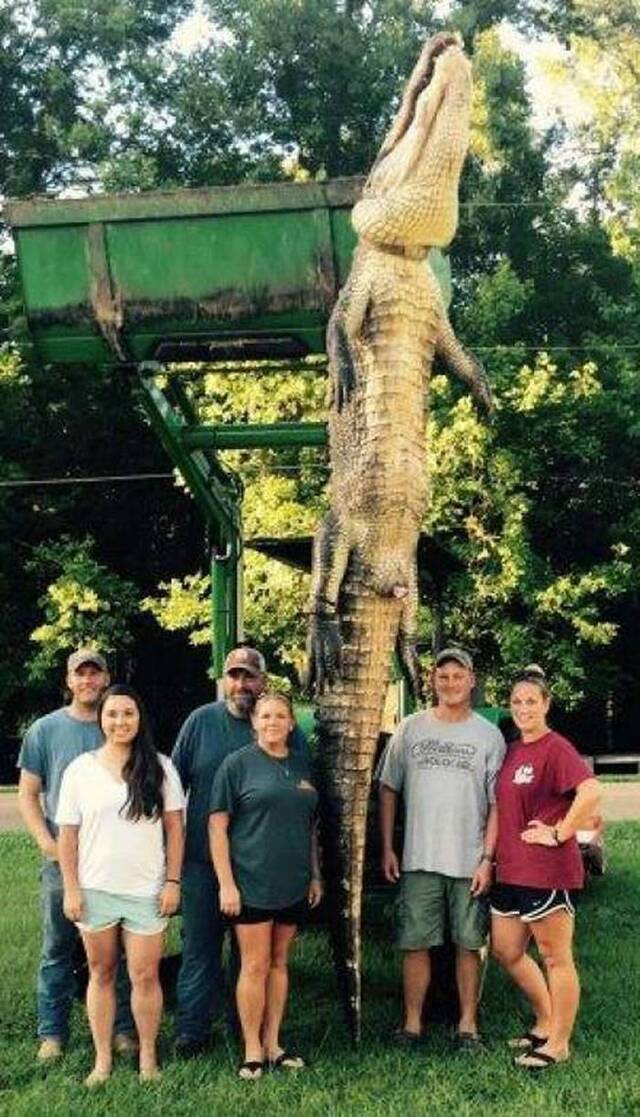 美国密西西比州新手女猎人捕获长逾4米巨鳄破纪录