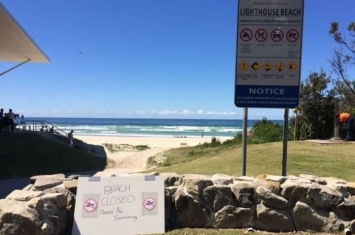 澳洲著名海滩惊现鲨踪 冲浪客惨被噬臀部