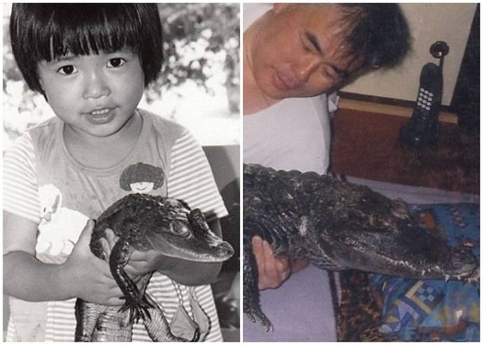 日本广岛老翁饲养南美短吻鳄为伴34年