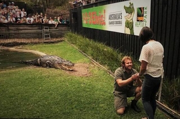 澳洲动物园护理员鳄鱼池旁求婚 引大鳄上岸做见证人