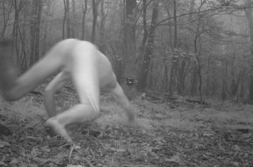 美国动物学家Marcella Kelly透过固定式摄影机在森林拍到全裸野人？