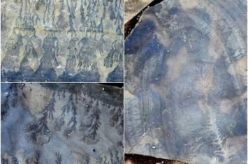 重庆市酉阳县麻旺镇加强村山区发现天然“岩画”