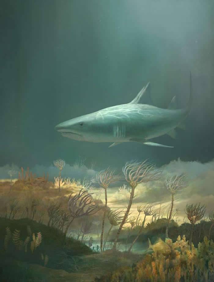 美国肯塔基州马默斯洞穴国家公园发现3.3亿年前鲨鱼Saivodus Striatus化石