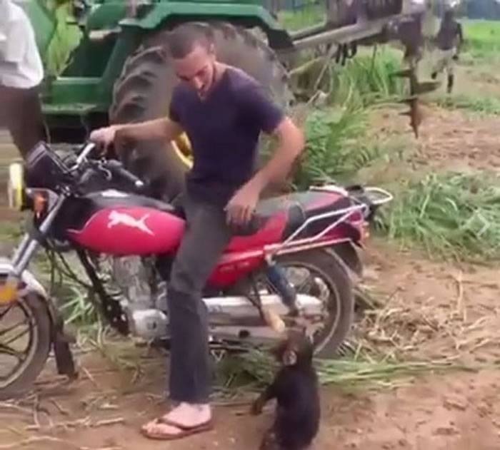 猴子硬要坐摩托车后座 被拉下车后耍赖抗议