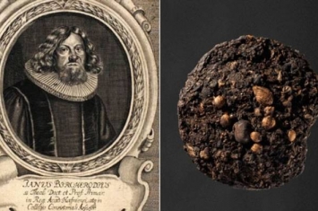 丹麦女考古学家在博物馆内发现神秘古老木盒 竟是17世纪主教排出的粪便