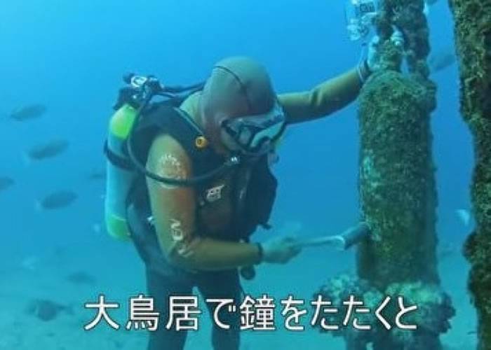 靠水底暗号联系 日本男子与怪鱼“亚洲羊头濑鱼”系25年情谊
