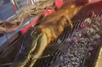 泰国街上竟有鳄鱼及大蛇串烧BBQ 网民：对不起动物