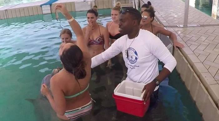 北美洲国家巴哈马训练员玩假人挑战 被指伤害海豚