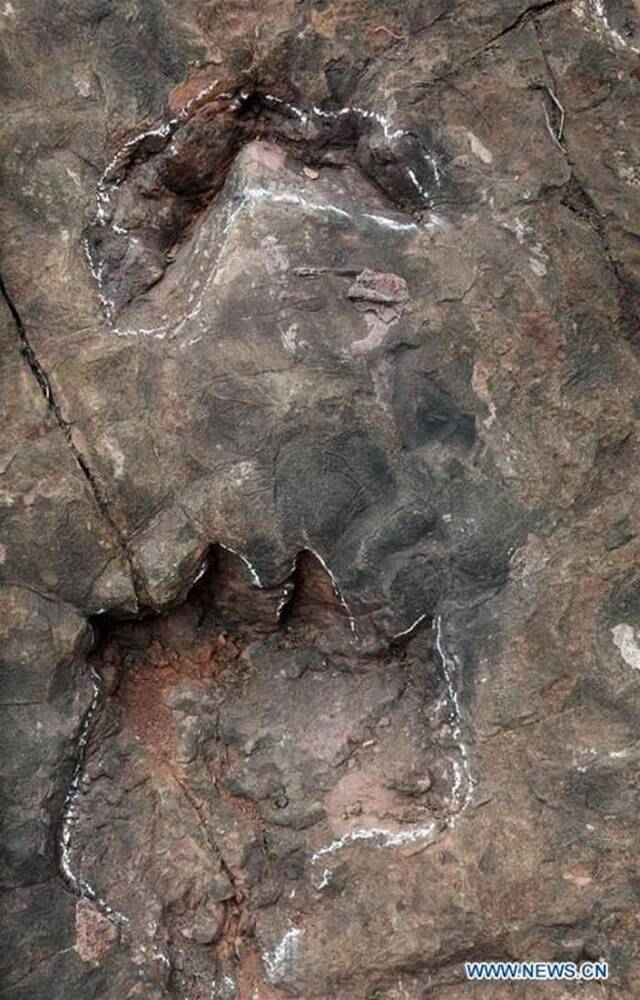 贵州省赫章县发现侏罗纪早期恐龙足迹化石群