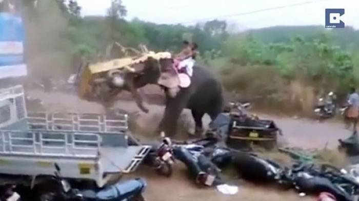 印度祭典上大象突然抓狂卷起小货车瞬间砸烂
